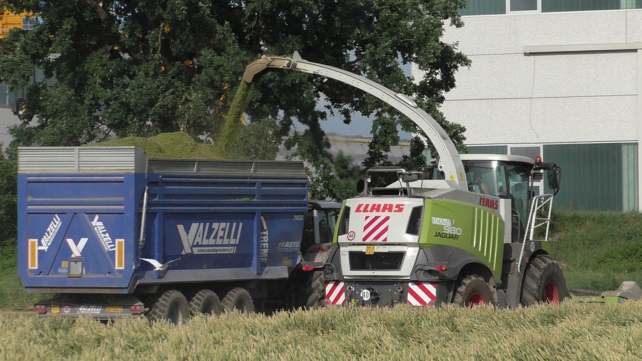 Trinciato Frumento 2018 | Wheat Silage 2018 | Stagnati