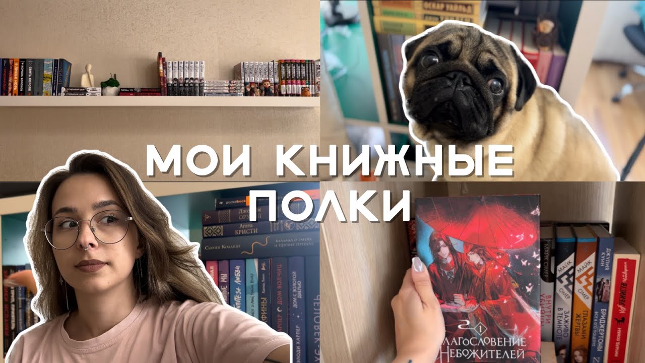 Обзор на КНИЖНЫЕ ПОЛКИ📚👀 Рассказываю про ВСЕ МОИ КНИГИ и делаю небольшой АНХОЛ