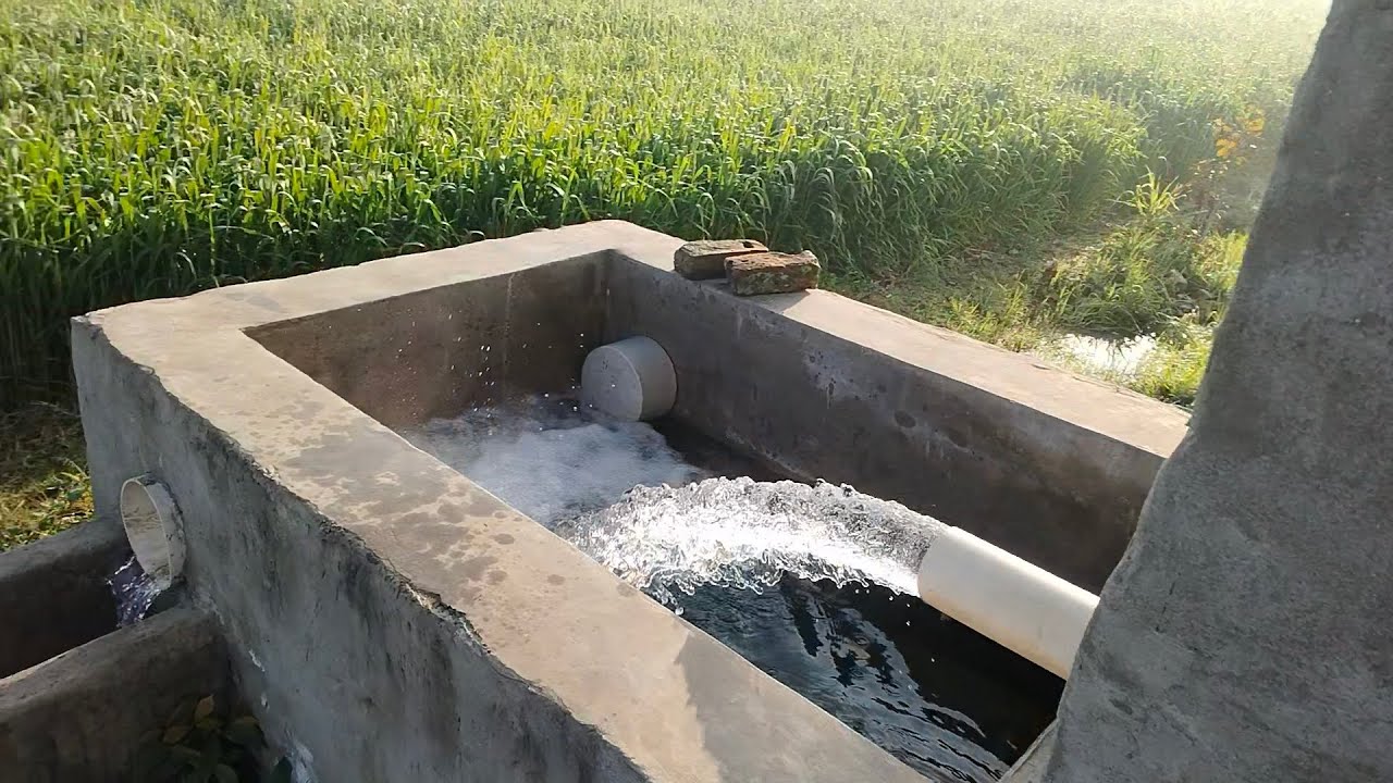 Farming ✨💞.  #like #comment #share #viral #tranding 