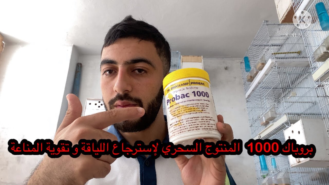 ‏كيفية إعطاء البكتيريا النافعه للطيور لتقوية المناعه