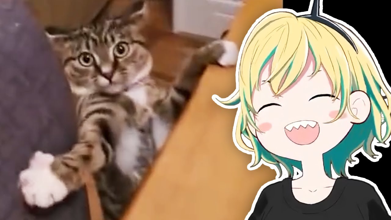 ⚡Pikamee CAN'T STOP LAUGHING at Best Memes Compilation 2022