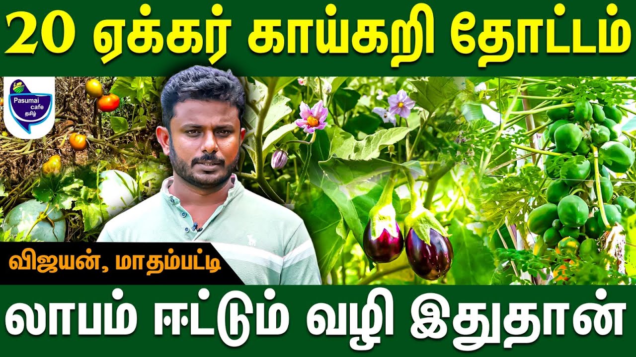 விவசாயத்தில் லாபம் ஈட்ட இப்படி திட்டமிடுங்க - விஜயன் | Organic vegetables farming #farm #vegetables
