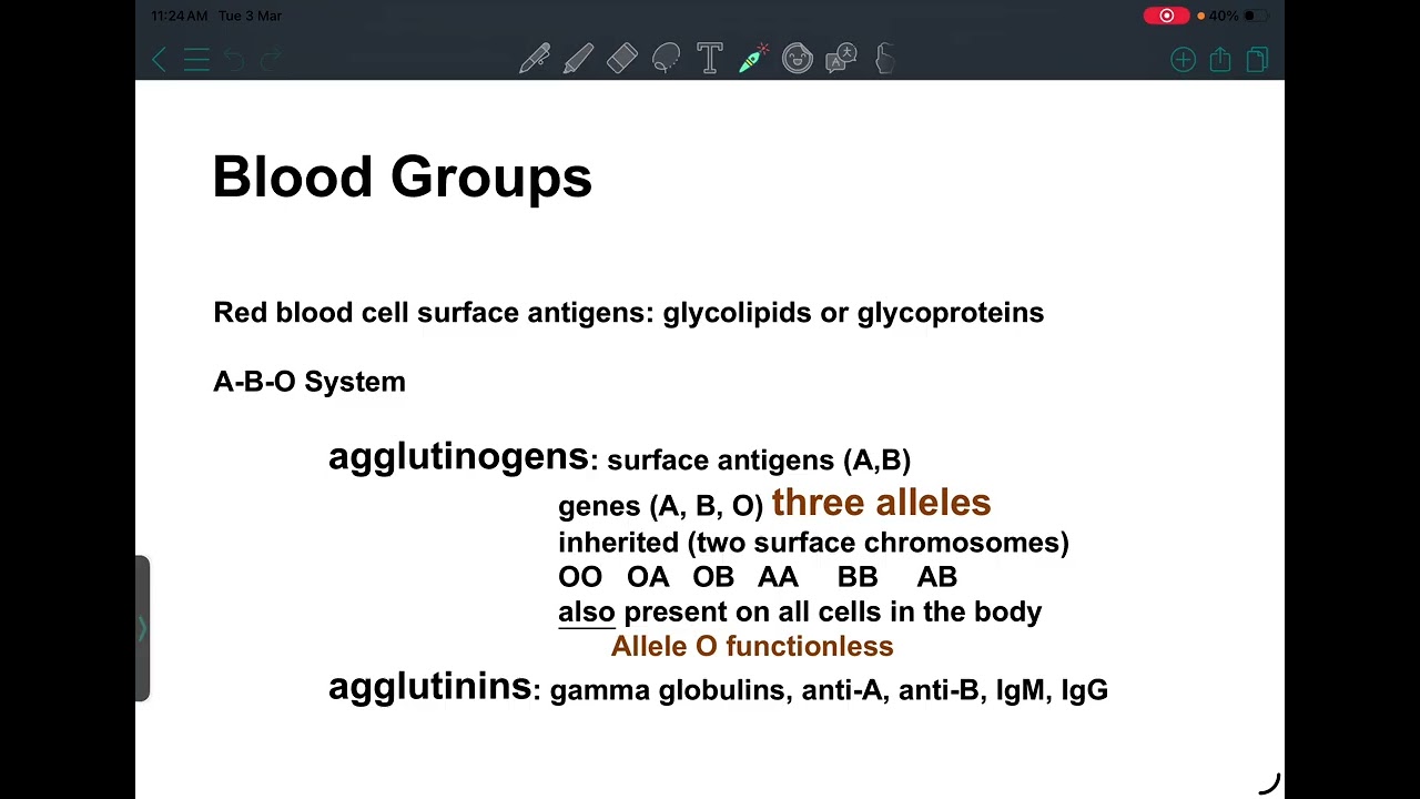 HLS: Physiology 5