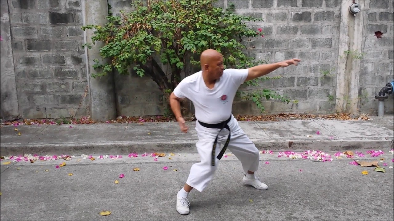 My Shotokan Gyaku zuki