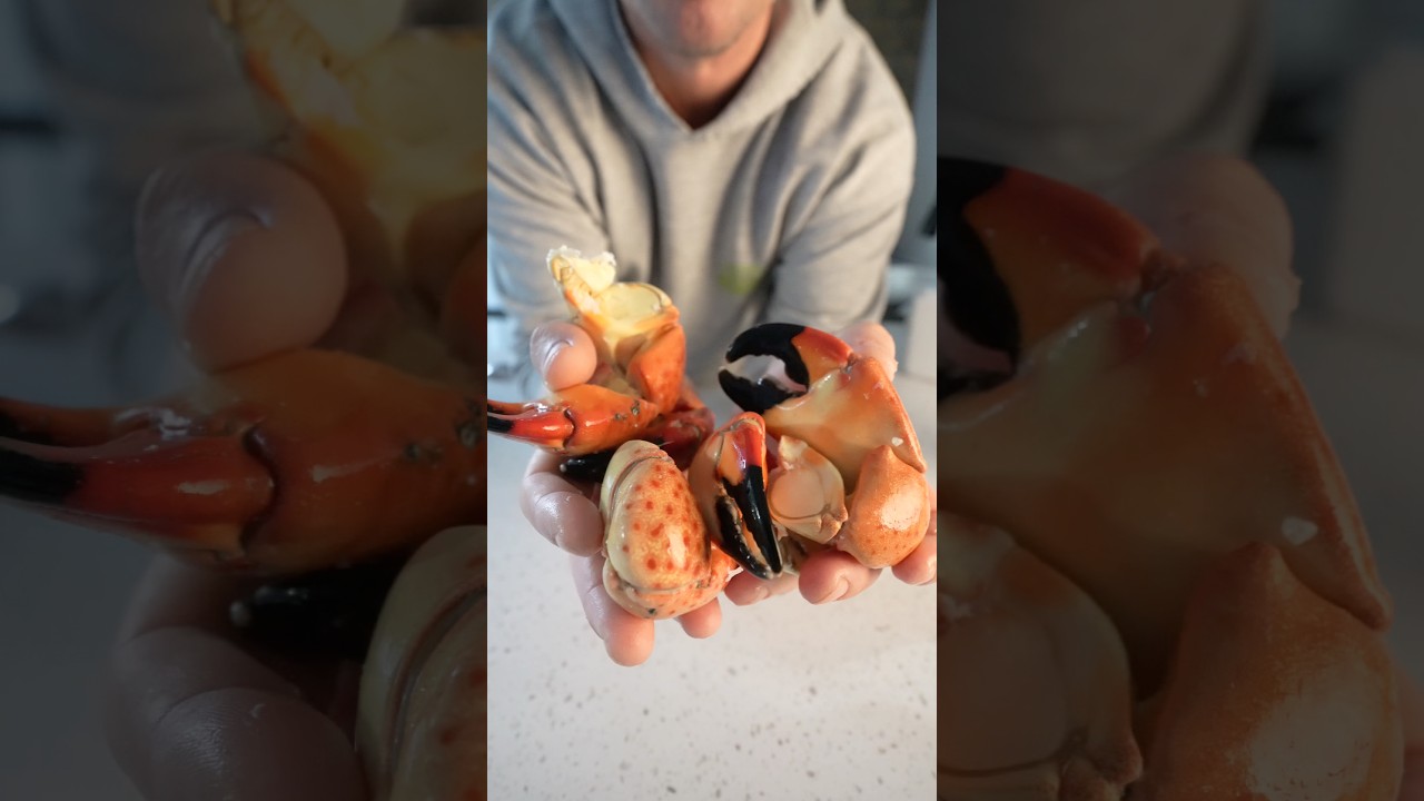 Клешни каменного краба за 30 долларов&hellip; Стоит ли оно того? #морепродукты #каменныйкраб #краб