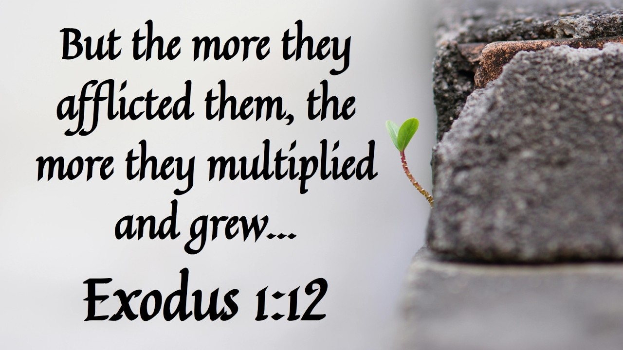 Sunday Sermon - Exodus 1:1-22