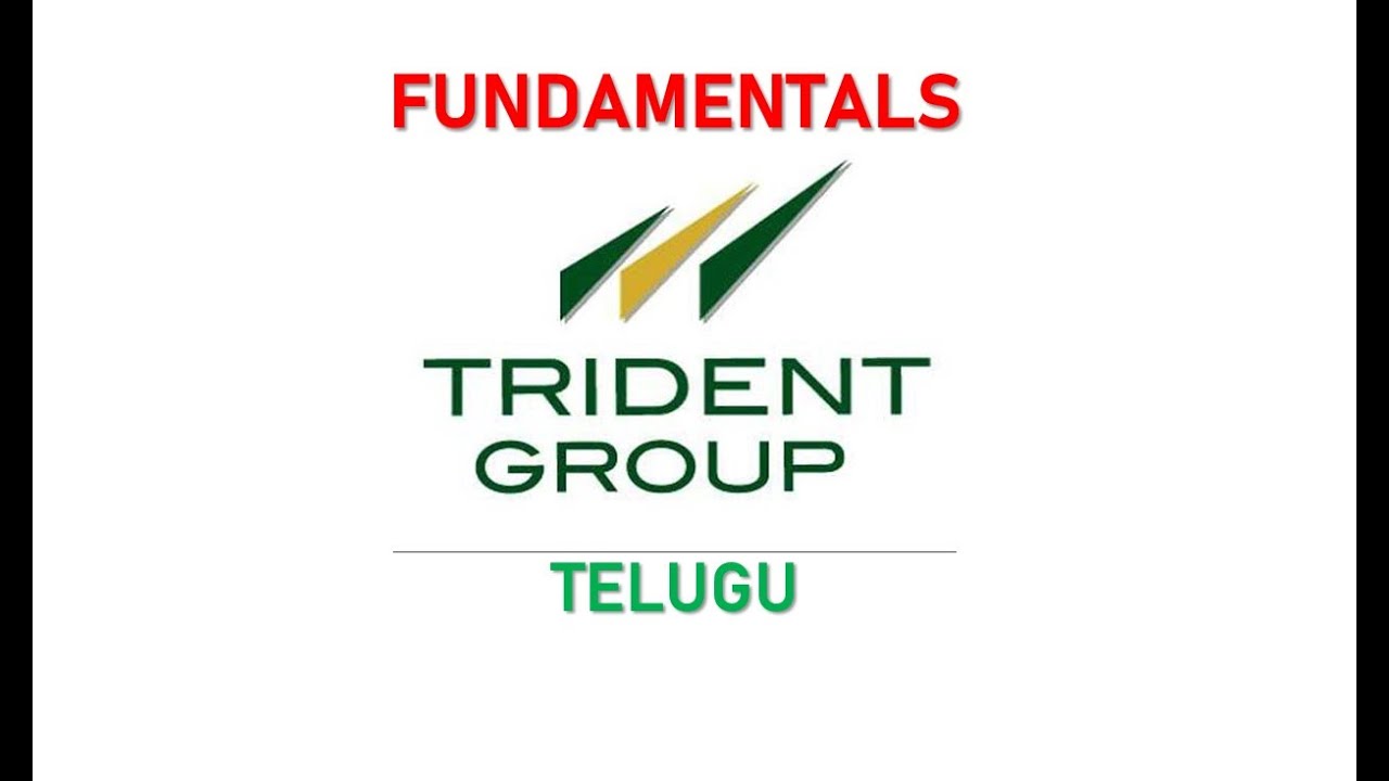 TRIDENT LTD Fundamental analysis || Telugu || By Mithil || #stockmarket #trident