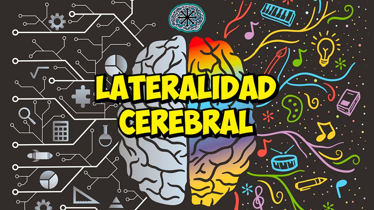HEMISFERIOS DEL CEREBRO y LATERALIDAD (ESPECIALIZACIÓN FUNCIONAL)