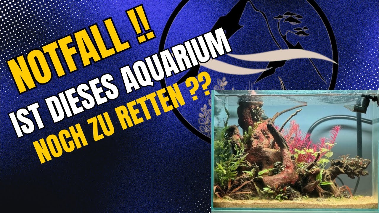 UNIVERSUMSCHLEIMALARM🚨🚨- Ist dieses Aquarium NOCH ZU RETTEN😱???