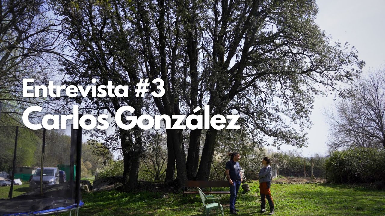 ¿Qué es la arboricultura? - Entrevista #3: Carlos González