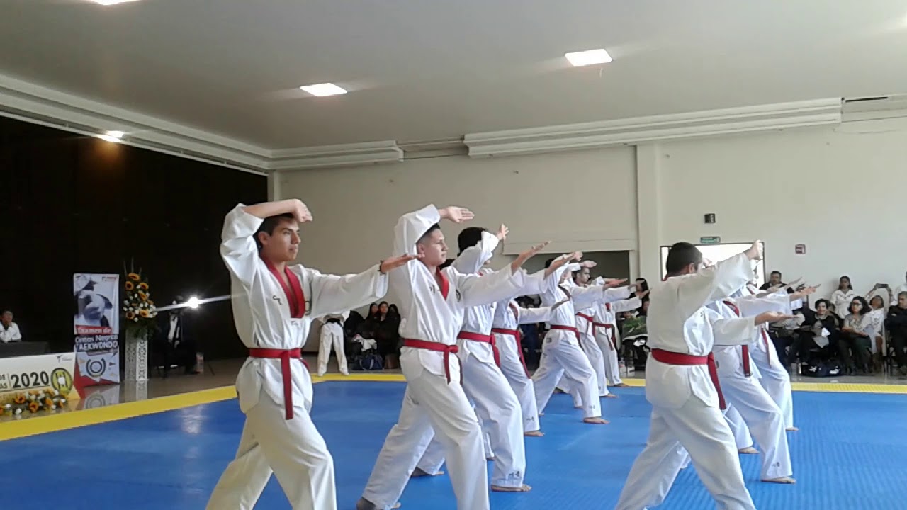 Examén Taekwondo cintas negras Golpes  #taekwondo  #ITOM #Teziutlán #tkd Doyang Grasfer #aptkd