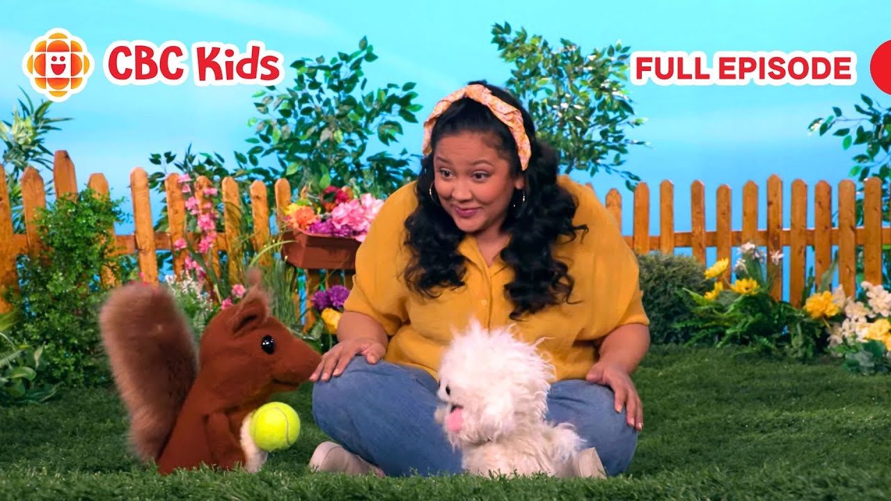 ASL Preschool Show | Cooperative Play (Silly Paws) | CBC Kids