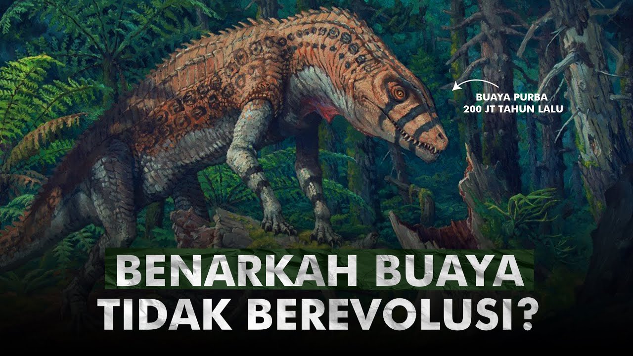 Kenapa Buaya Tidak Berubah Selama Jutaan Tahun? | Evolusi Buaya