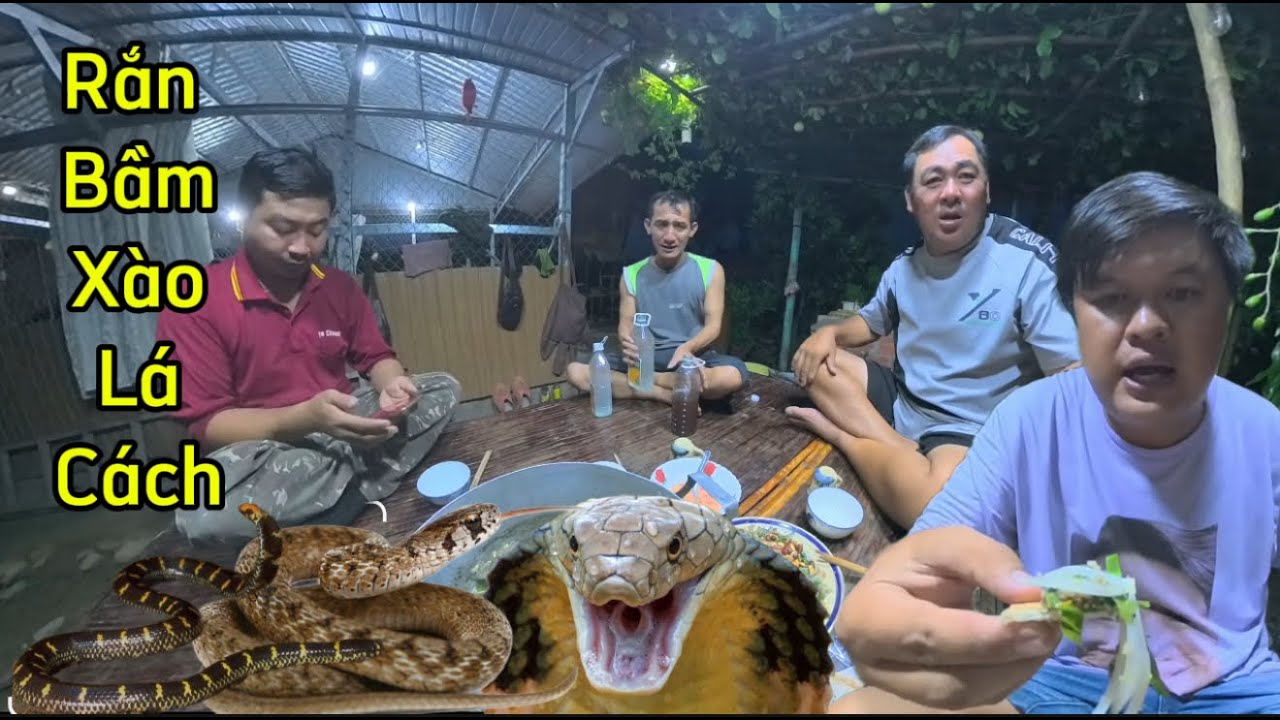 Mồi Ngon Rắn Bầm Xúc Bánh Đa Anh Em Nhâm Nhi Vui Vẻ - Quẹo Channel