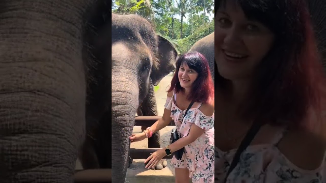 Elephant safari park and Lodge  Bali, What a great day 😊