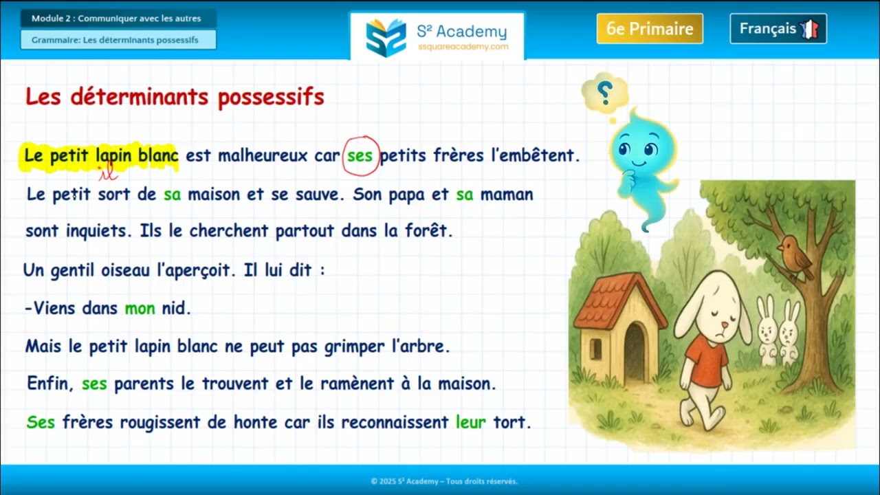 6e année | Français – Module 2 – Grammaire : Déterminants possessifs - découvrir la situation