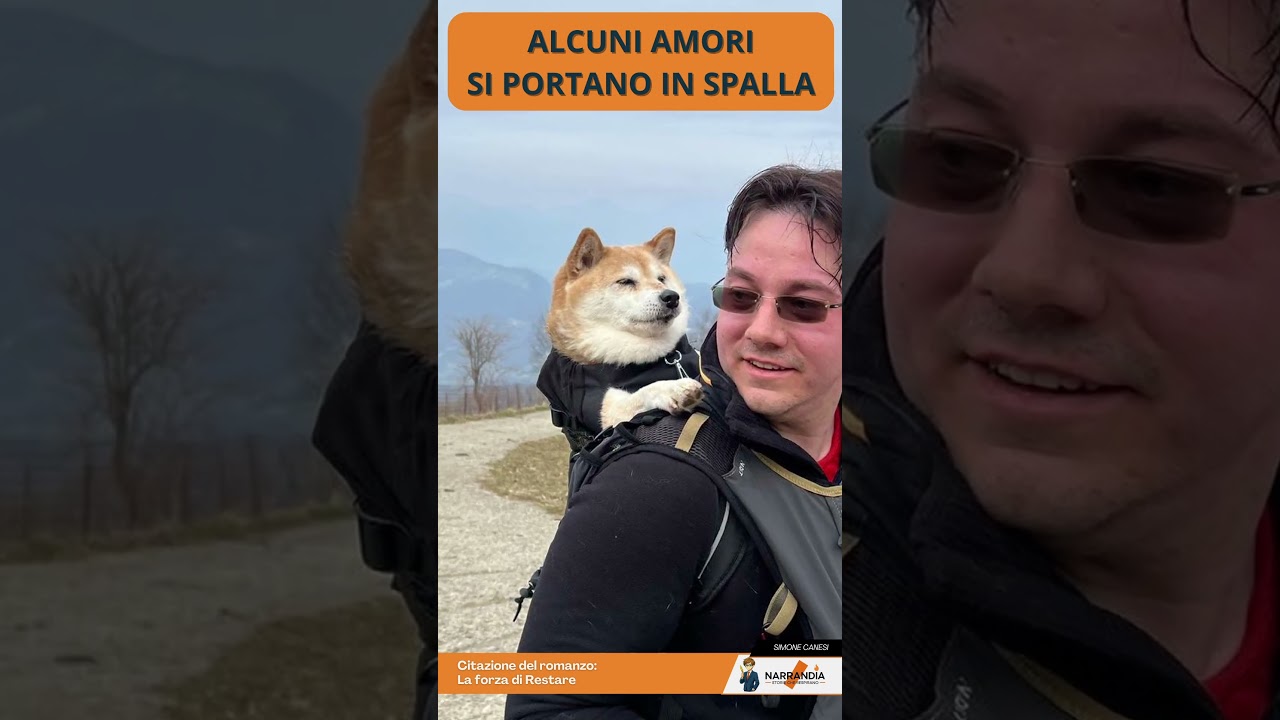 🐾 𝐂𝐢 𝐬𝐨𝐧𝐨 𝐚𝐦𝐨𝐫𝐢 𝐜𝐡𝐞 𝐜𝐚𝐦𝐦𝐢𝐧𝐚𝐧𝐨 𝐚𝐥 𝐭𝐮𝐨 𝐟𝐢𝐚𝐧𝐜𝐨.