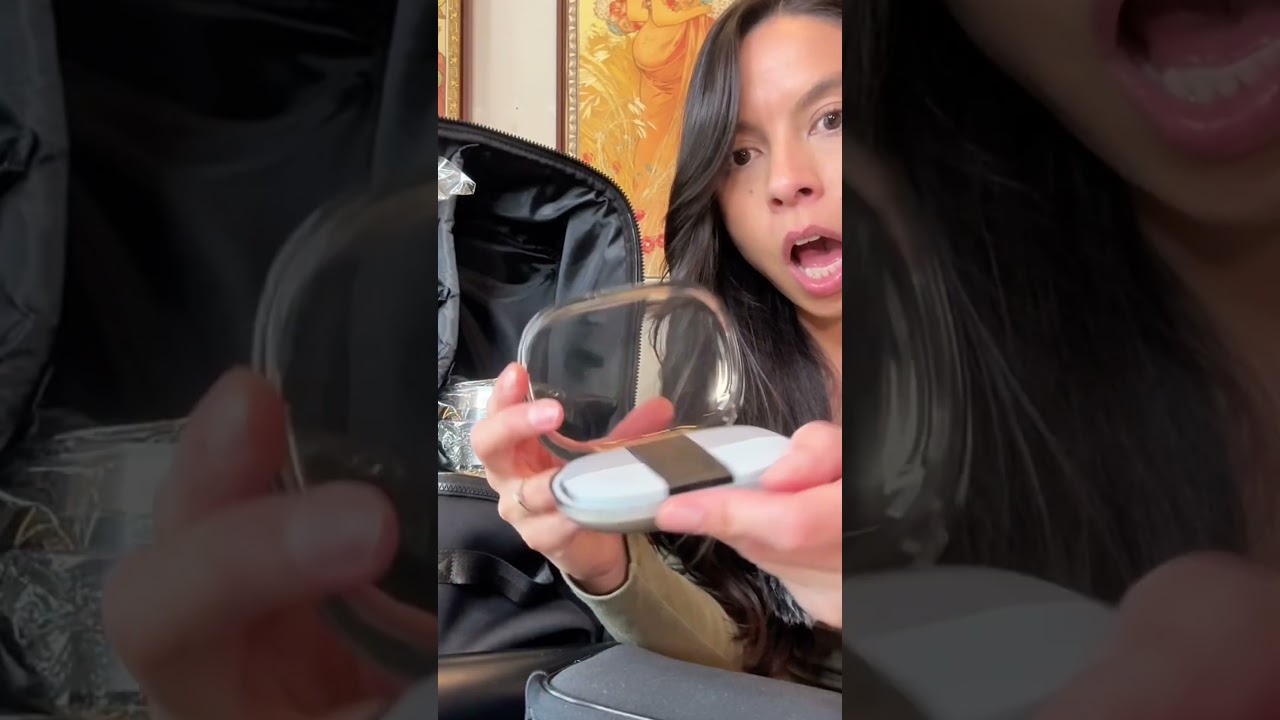 The ULTIMATE dog mom gift for the holiday season🎁🎄