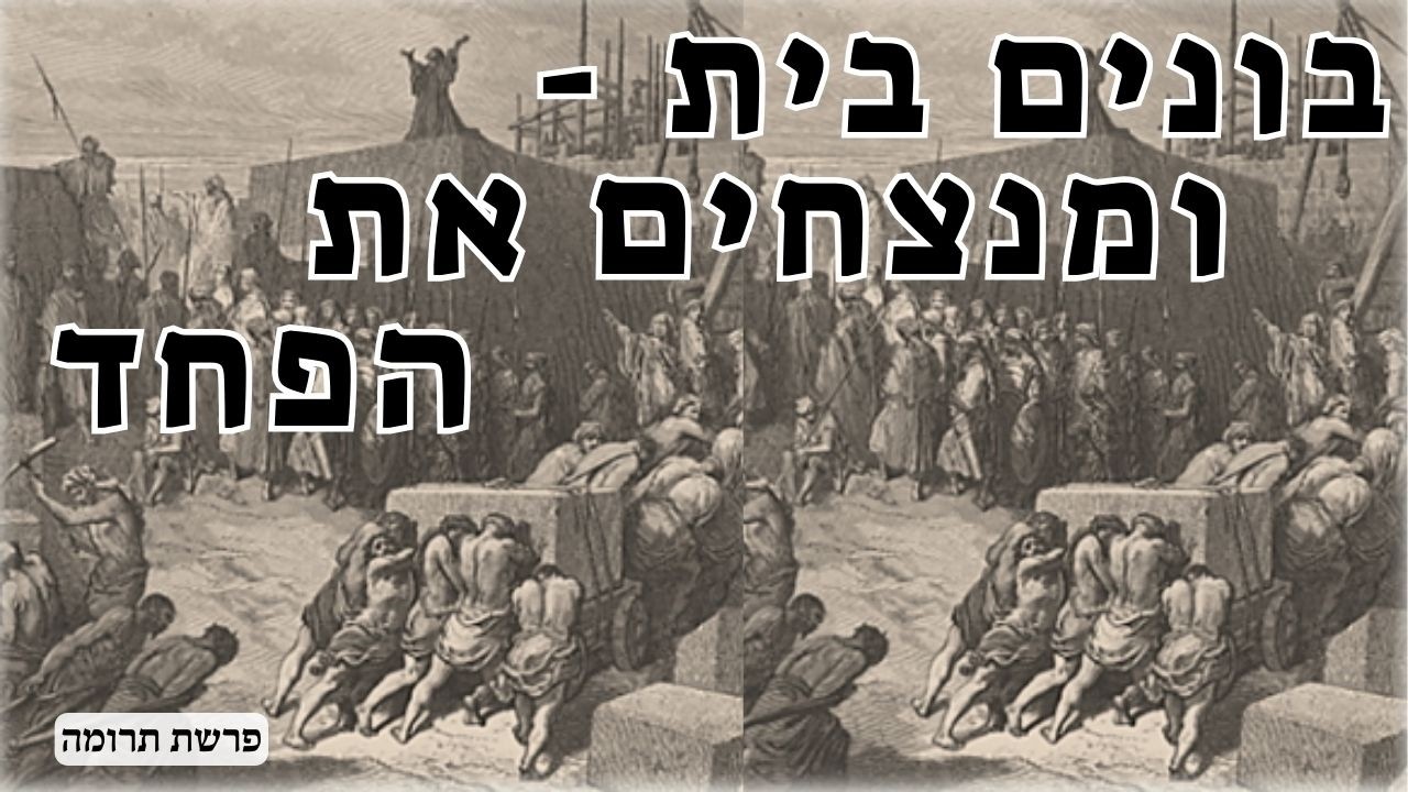 לבנות בית לה׳ בזמן של חוסר ודאות - מסר עוצמתי מפרשת תרומה