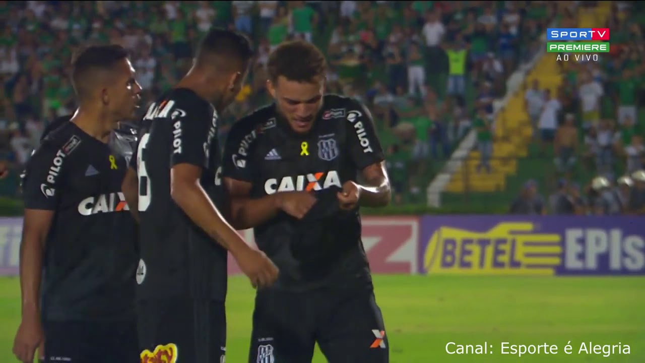 GUARANI 3 X PONTE PRETA 2 - MELHORES MOMENTOS E GOLS (BRIGA)