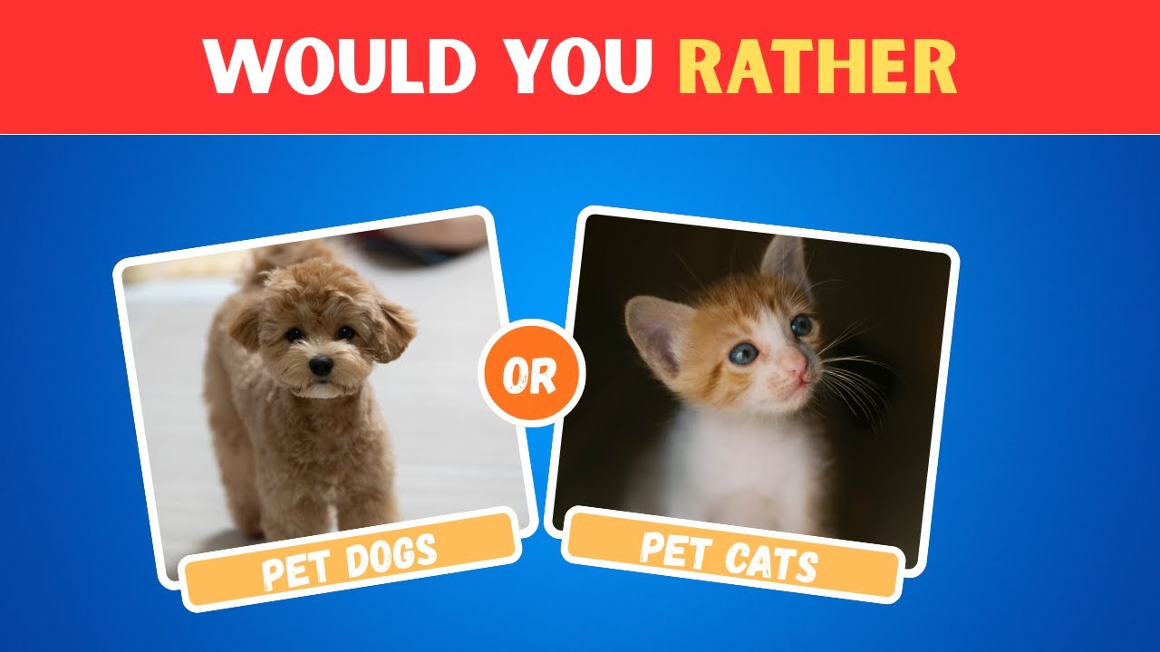 Would You Rather…? ANIMAL EDITION 🐾 | Fun Animal Quiz Game