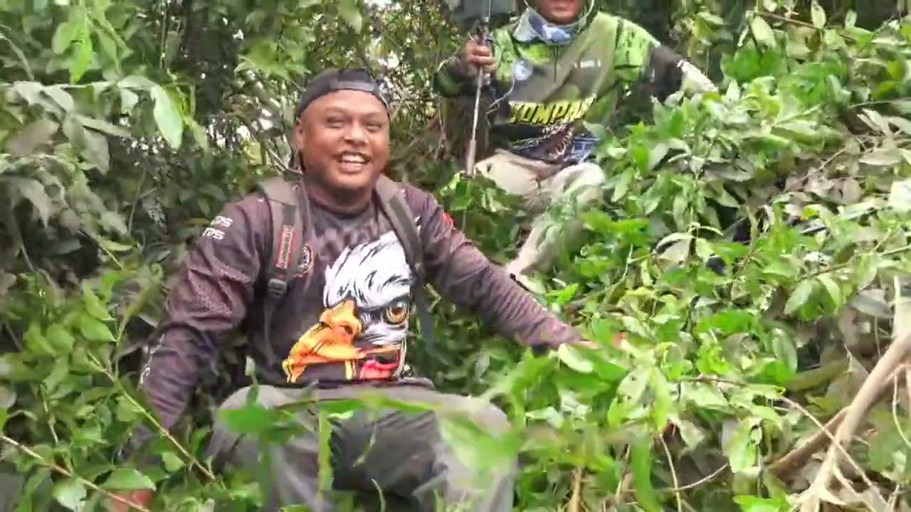 Perjalanan mencari babon Toman❗❗❗