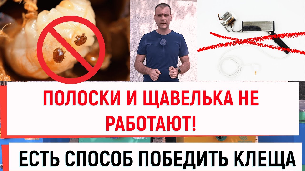 Полоски и сублиматор не работают! Как убить клеща.