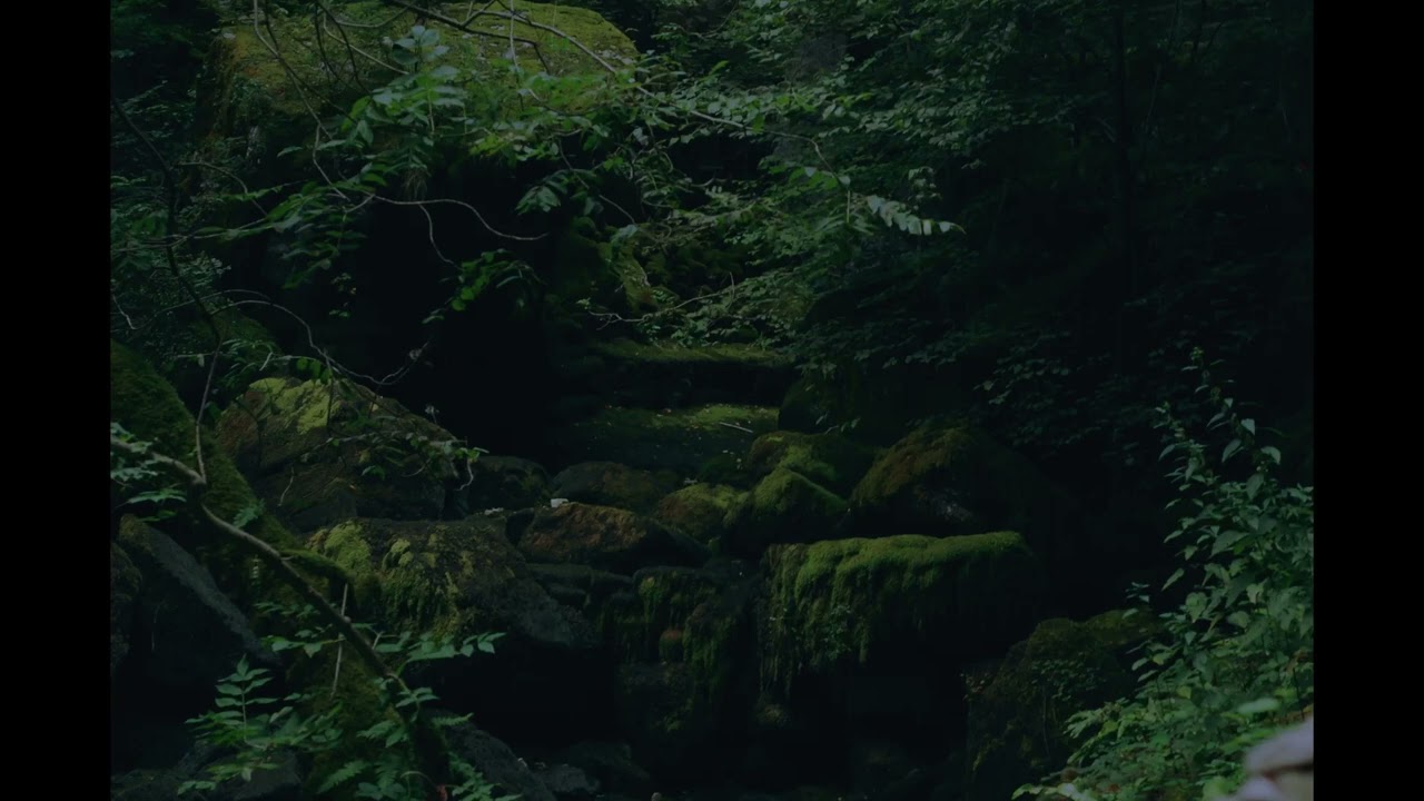 de selby (part 1) by hozier but it's coming from somewhere deep within a forest