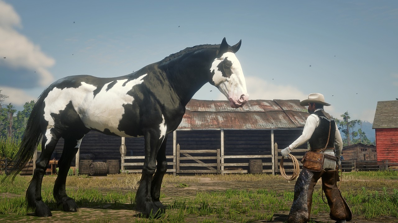John Marston Tames Huge Mustang Black and White Horse near Saint Denis | RDR2