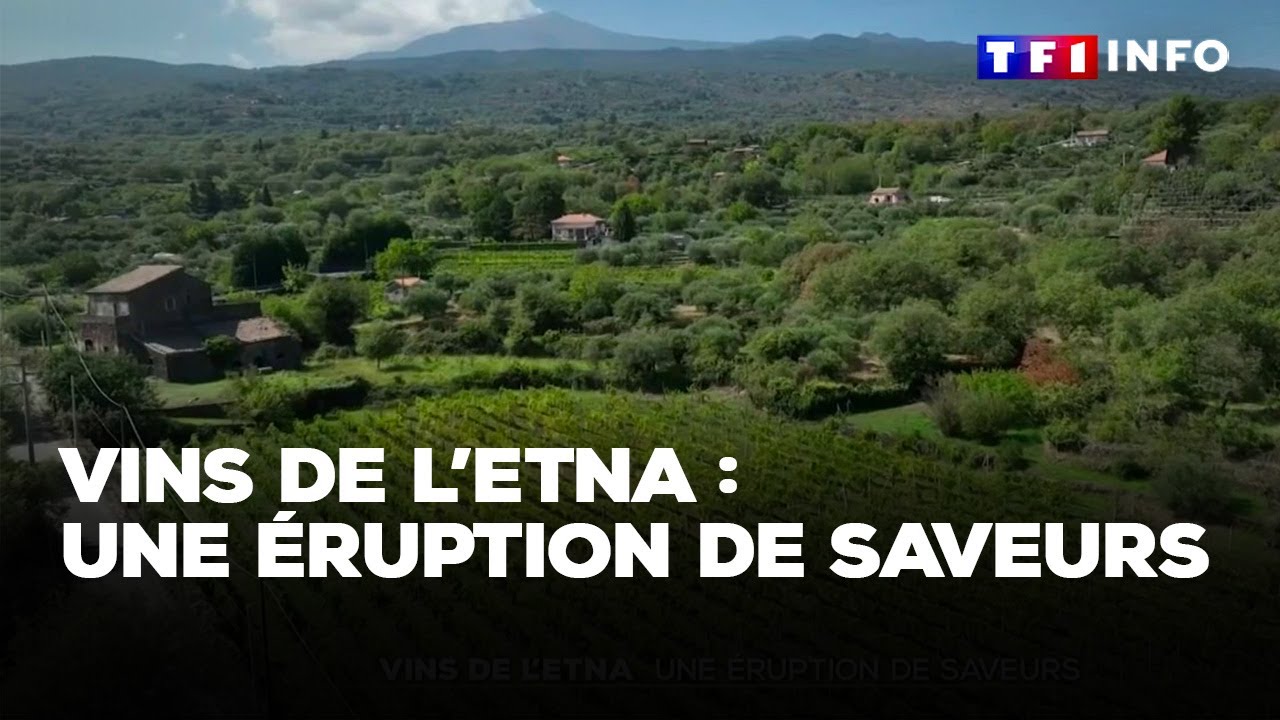 Vins de l'Etna : une éruption de saveurs