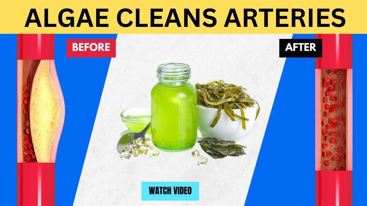5 Algae Supplements That Clean Arteries, Lower High Blood Pressure, and Increase Longevity