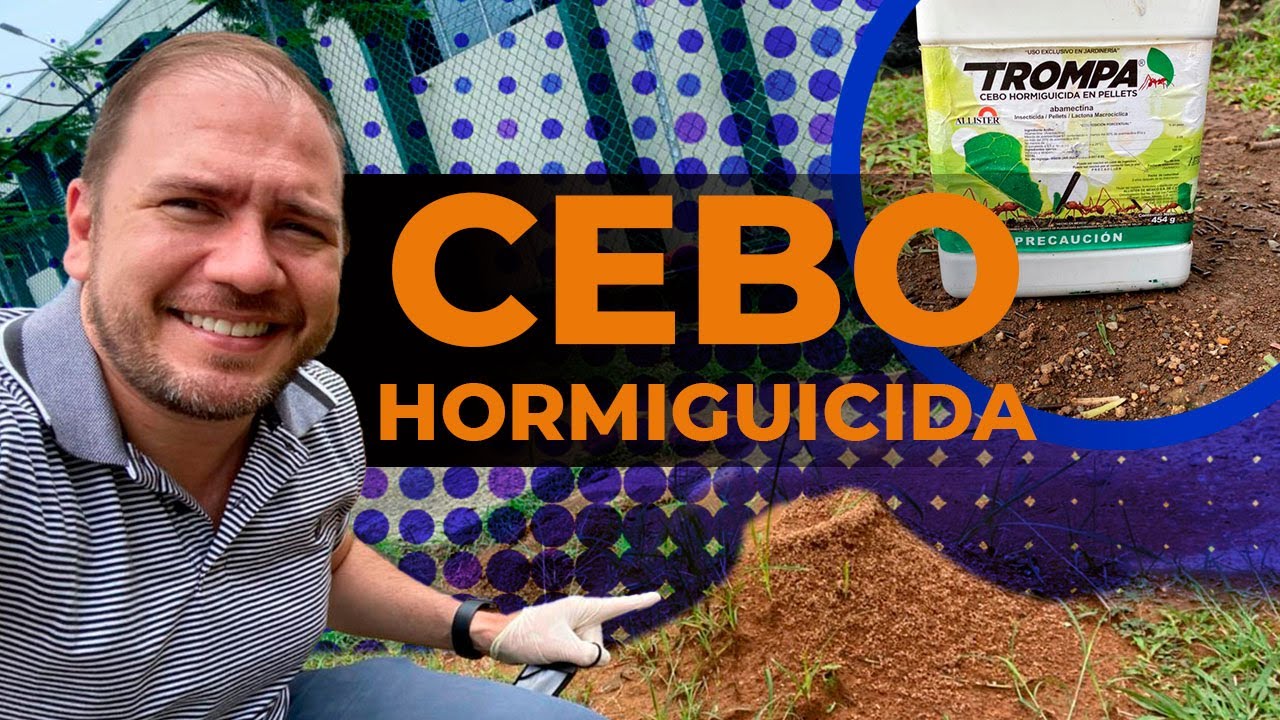 ¿Cómo eliminar HORMIGAS ARRIERAS del jardín? 🐜🌱