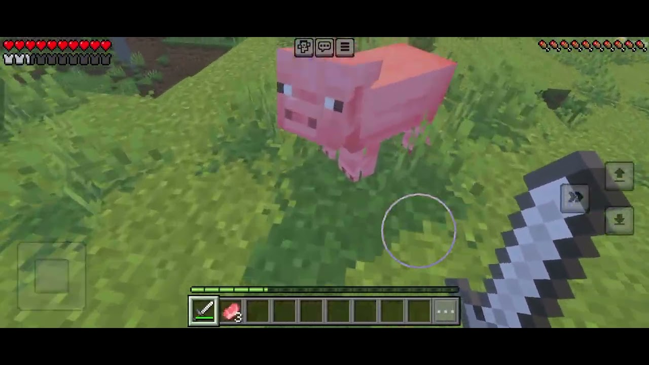 My mission is hide the iron in minecraft 