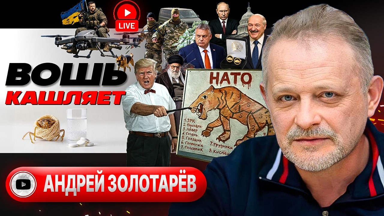 🐅 БУМАЖНЫЙ ТИГР В РАЗРЕЗЕ. Сделка Трампа и Путина. Сигналы Зе россиянам. ТЦК с собаками - Золотарёв