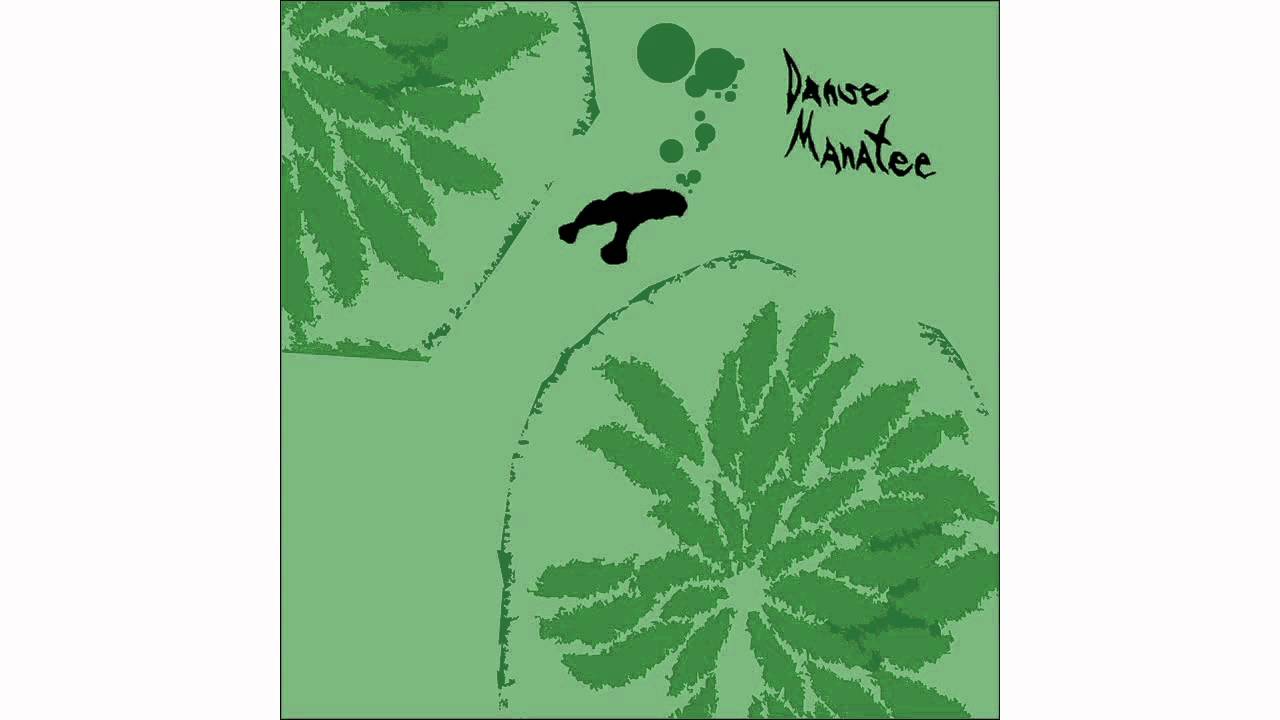 Animal Collective - In the Singing Box
