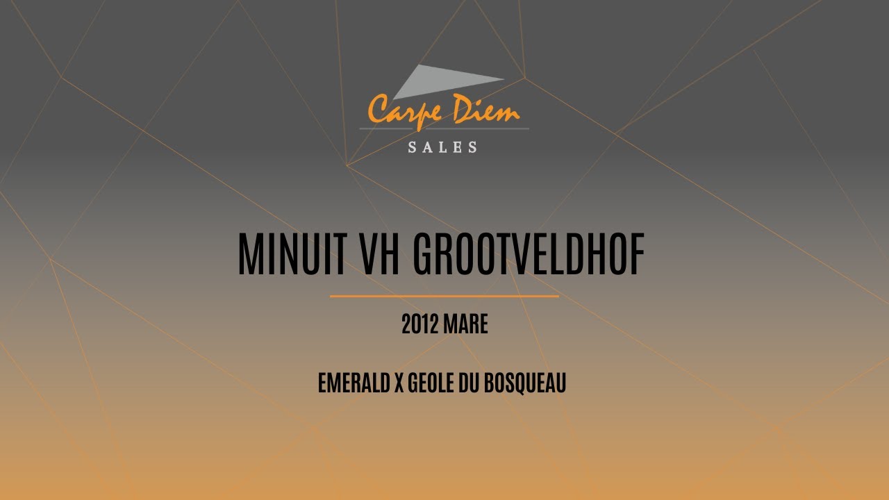Minuit van het Grootveldhof