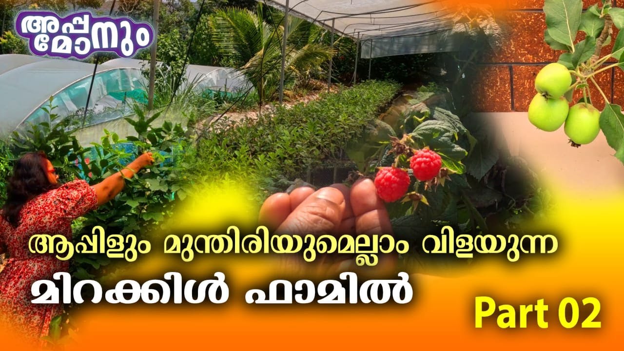 ഒരു രക്ഷയുമില്ല  . അതുപോലെ കാണാനുണ്ട്.    Miracle Farm House Kattappana Part 02