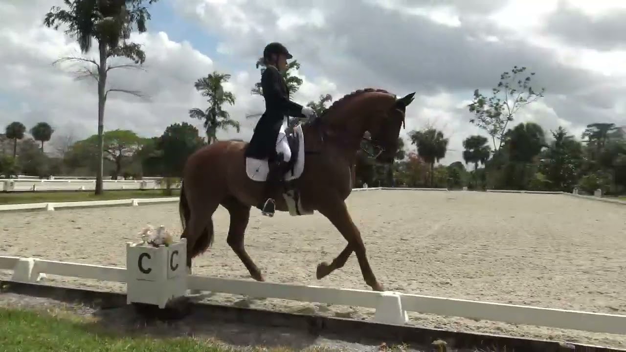 Harrold S ☆ Grand Prix Freestyle