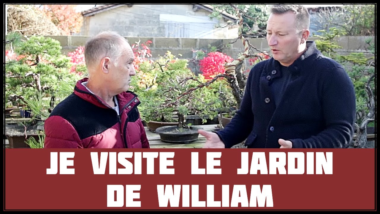 LE JARDIN de WILLIAM V. 🌱 NEJIKAN BONSAI 🌱