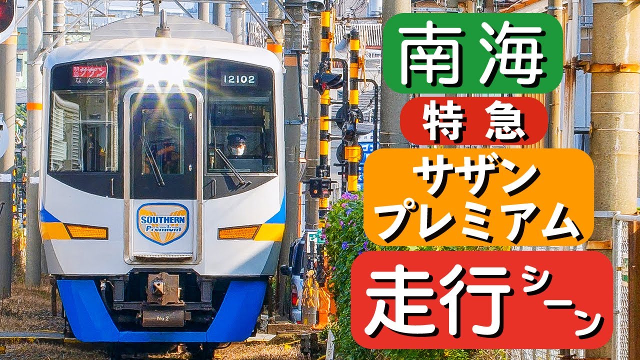 【南海電鉄】特急 サザン 12000系・9000系（マイトレイン）・8000系走行シーン