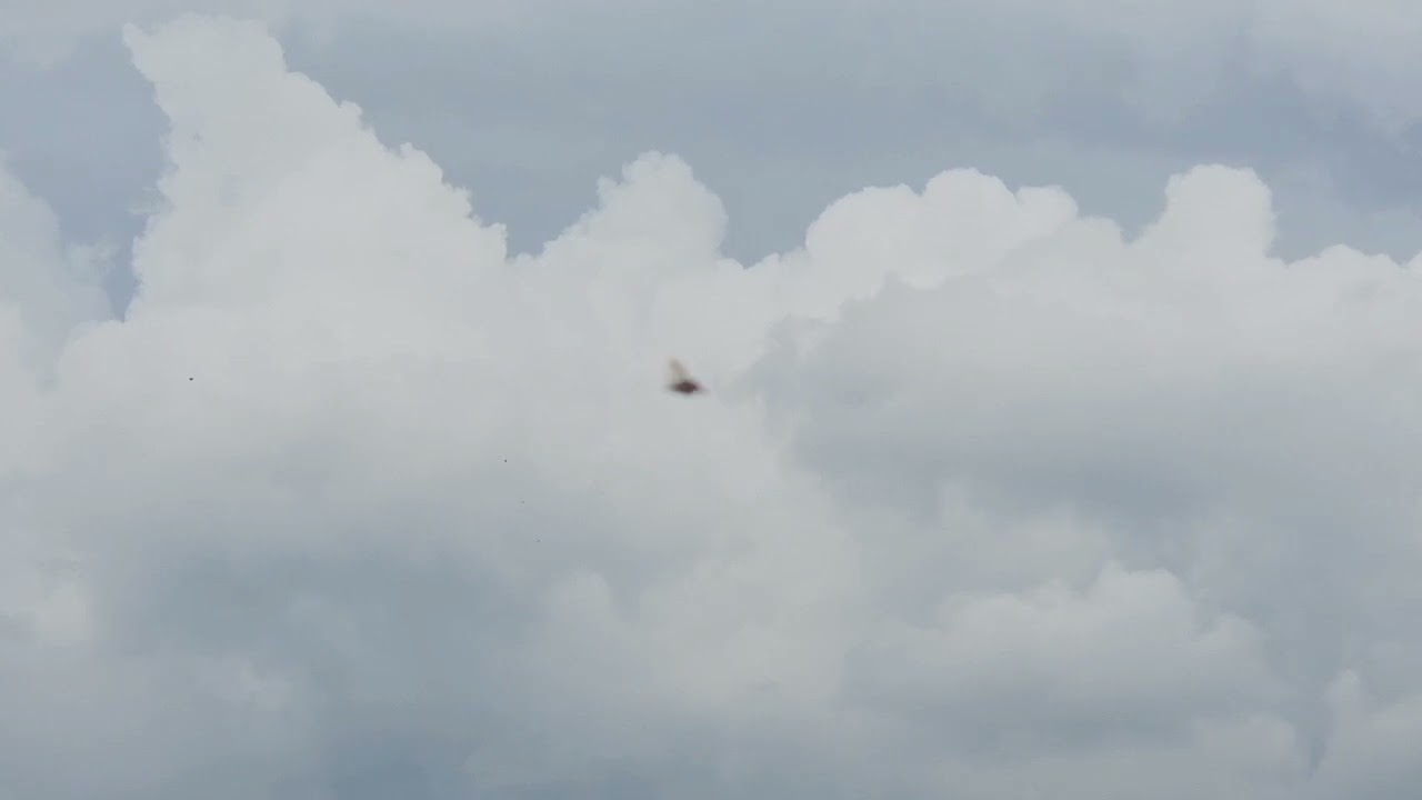 Wall Cloud 20/7/2025 Storm chasing in Scotland.