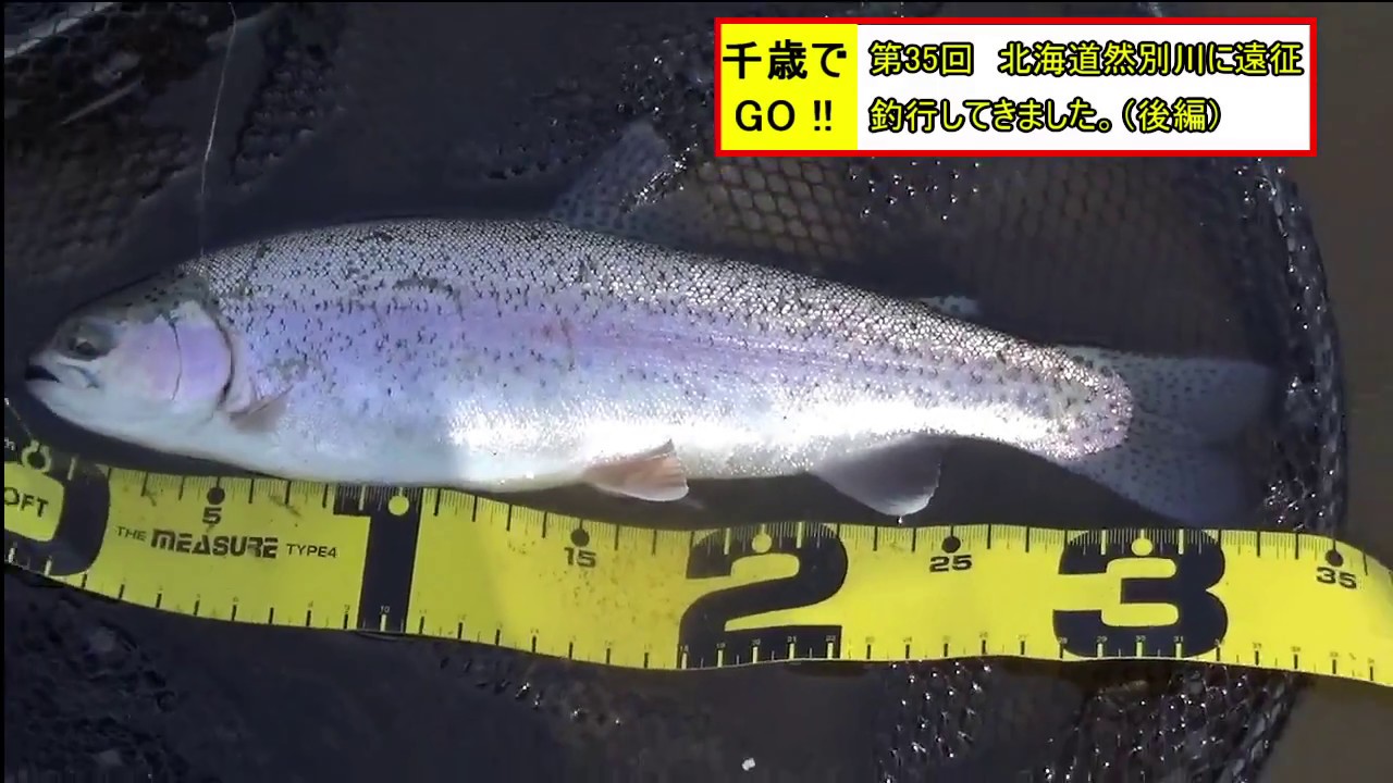 千歳でGO!! 第35回　北海道然別川に遠征釣行してきました（後編）。ついにイケダクンがルアーでニジマスを釣りました。