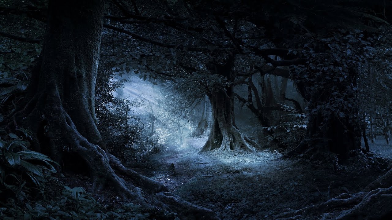 Dark Forest Music – Woods of Nightdeep | Spooky, Haunting