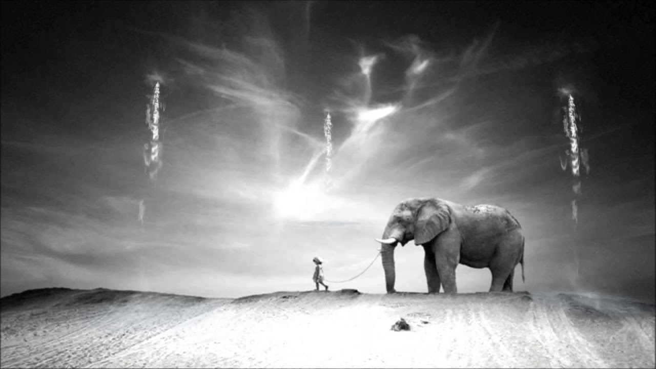 Ten walls - Walking with Elephants (Vincz remix) [MonkeyMau]