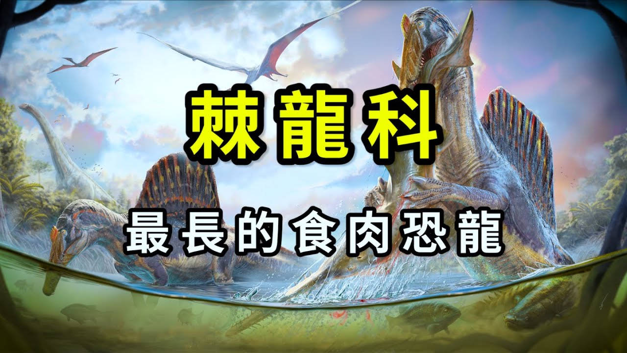 古怪的棘龍科：超大的帆竟然只是裝飾？