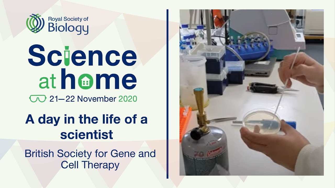 A day in the life of a scientist | Science at Home | Royal Society of Biology