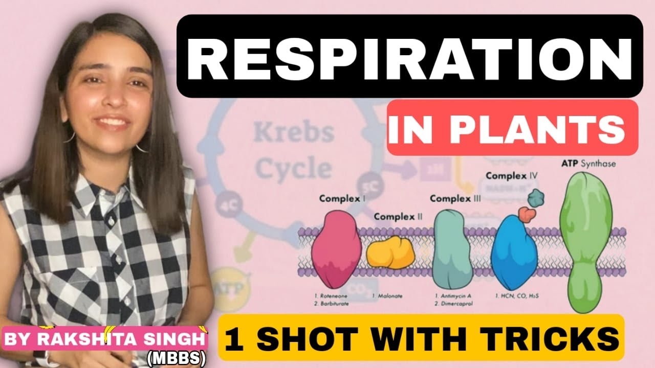 Respiration In Plants | Class 11 NCERT | One Shot | Best Biology Crash Course | Rakshita Singh