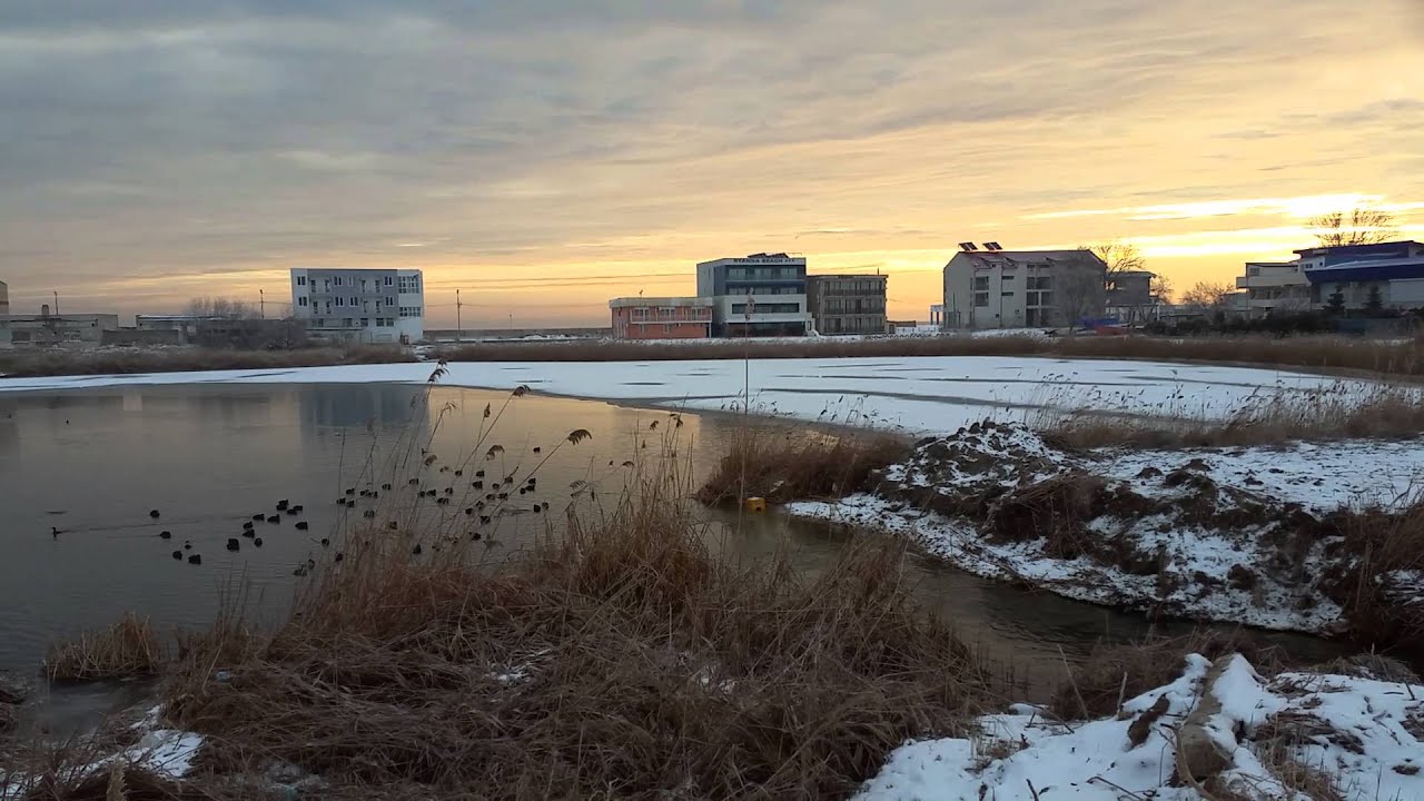 Dimineata pe lacul Belona www.eforieonline.ro