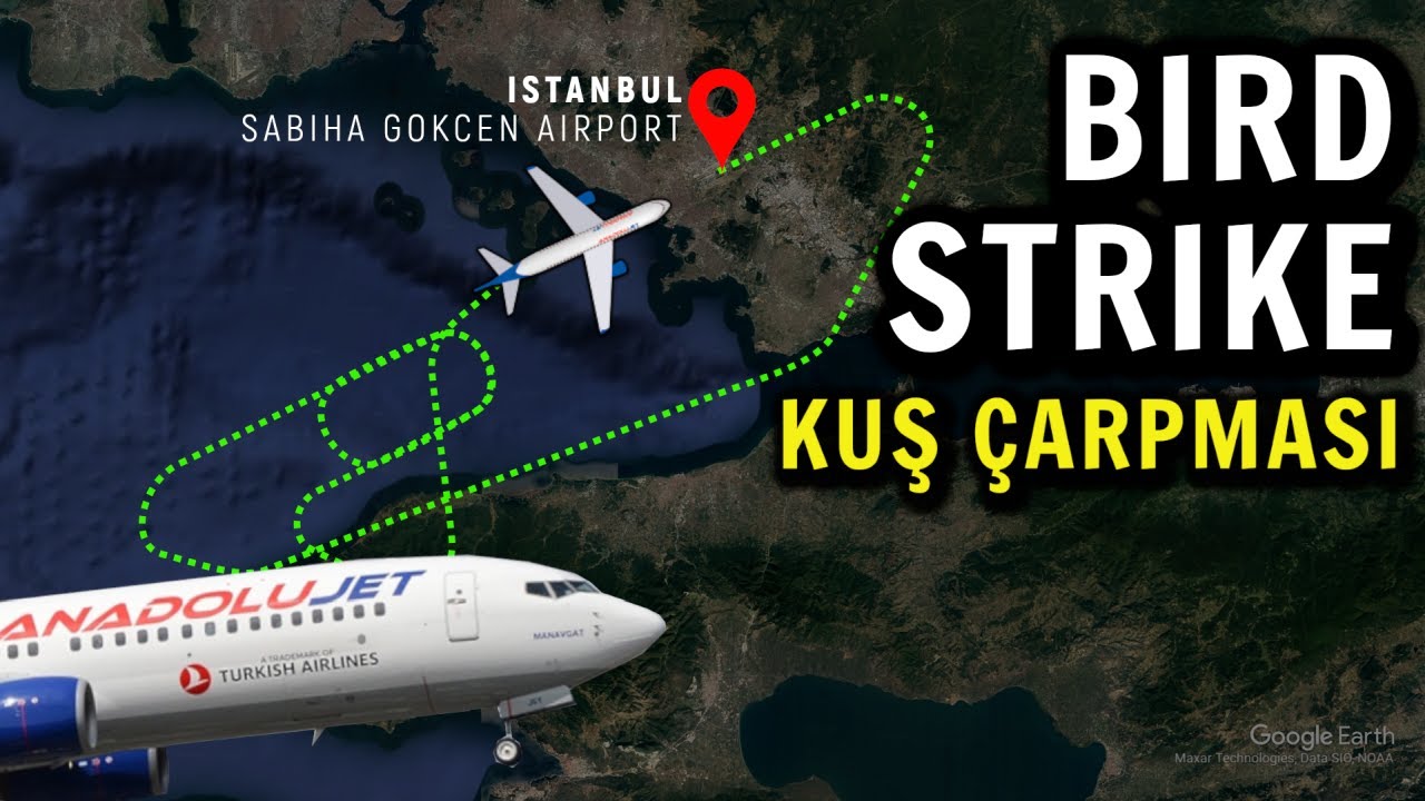 ANADOLUJET UÇAĞI KUŞ ÇARPMASI NEDENİYLE YAKIT YAKIP GERİ İNDİ | 17 NİSAN 2022