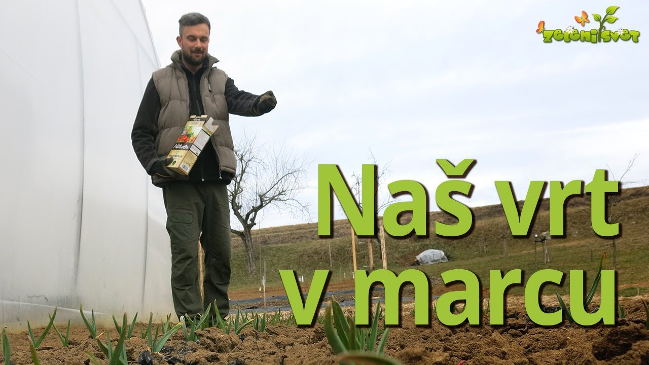 Na&scaron; vrt v marcu